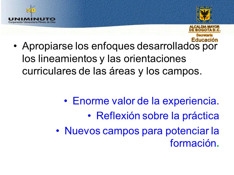 Apropiarse los enfoques desarrollados por los lineamientos y las orientaciones curriculares de las áreas y los campos.