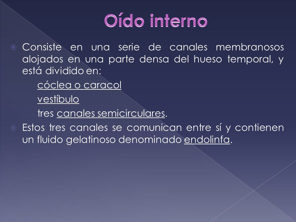 Oído interno Consiste en una serie de canales membranosos alojados en una parte densa del hueso temporal, y está dividido en: