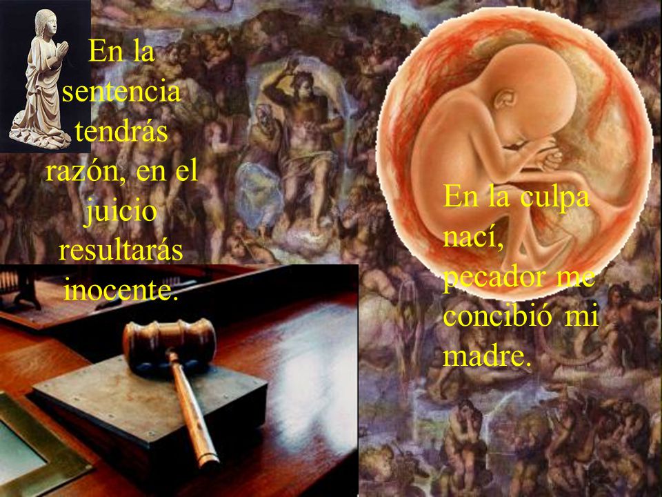 En la sentencia tendrás razón, en el juicio resultarás inocente.