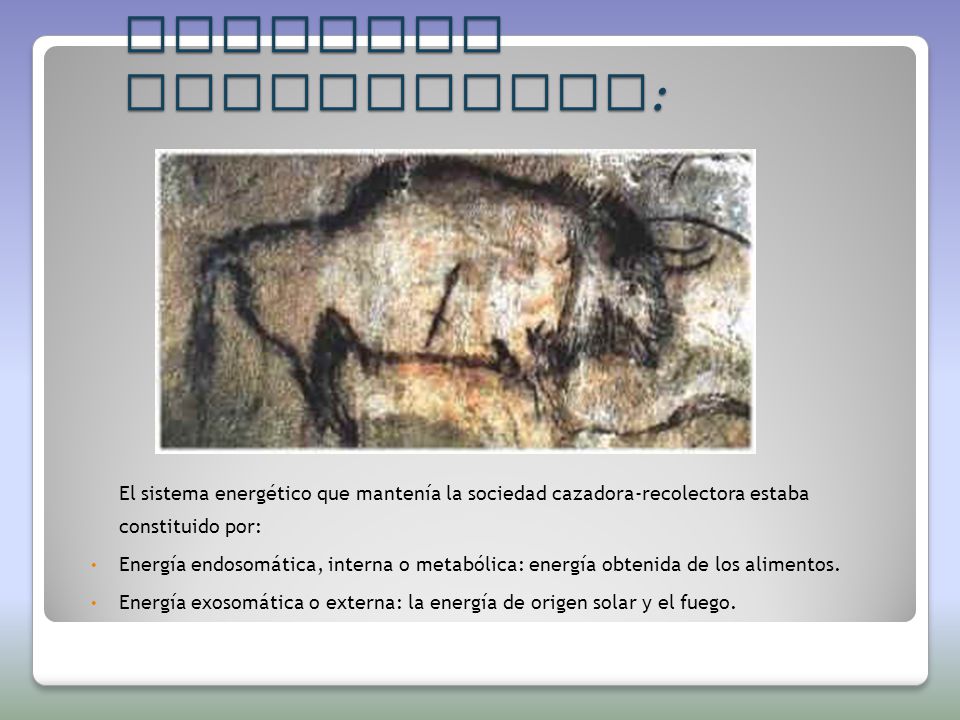 Sociedad cazadora recolectora: