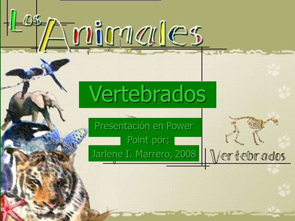 Vertebrados Presentación en Power Point por: Jarlene I. Marrero, 2008