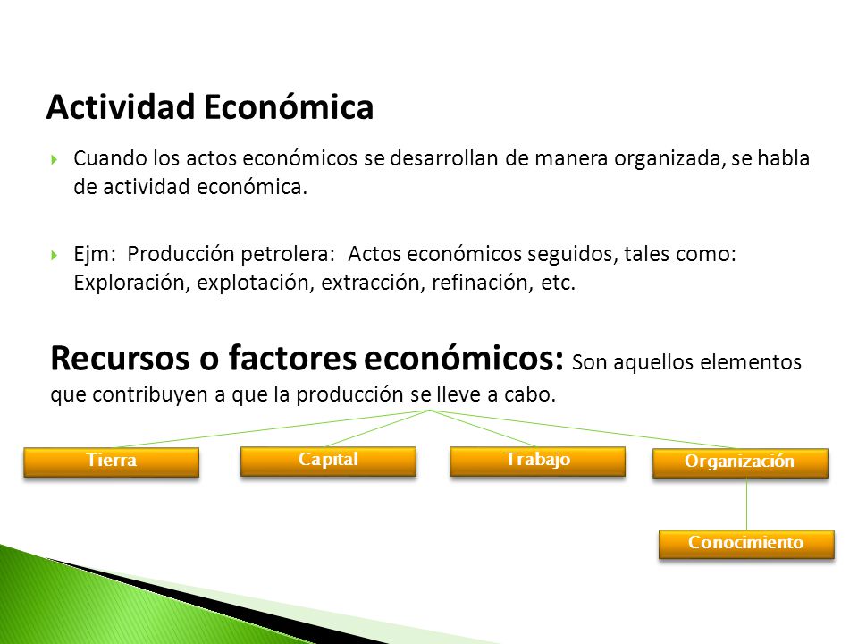 Actividad Económica Cuando los actos económicos se desarrollan de manera organizada, se habla de actividad económica.