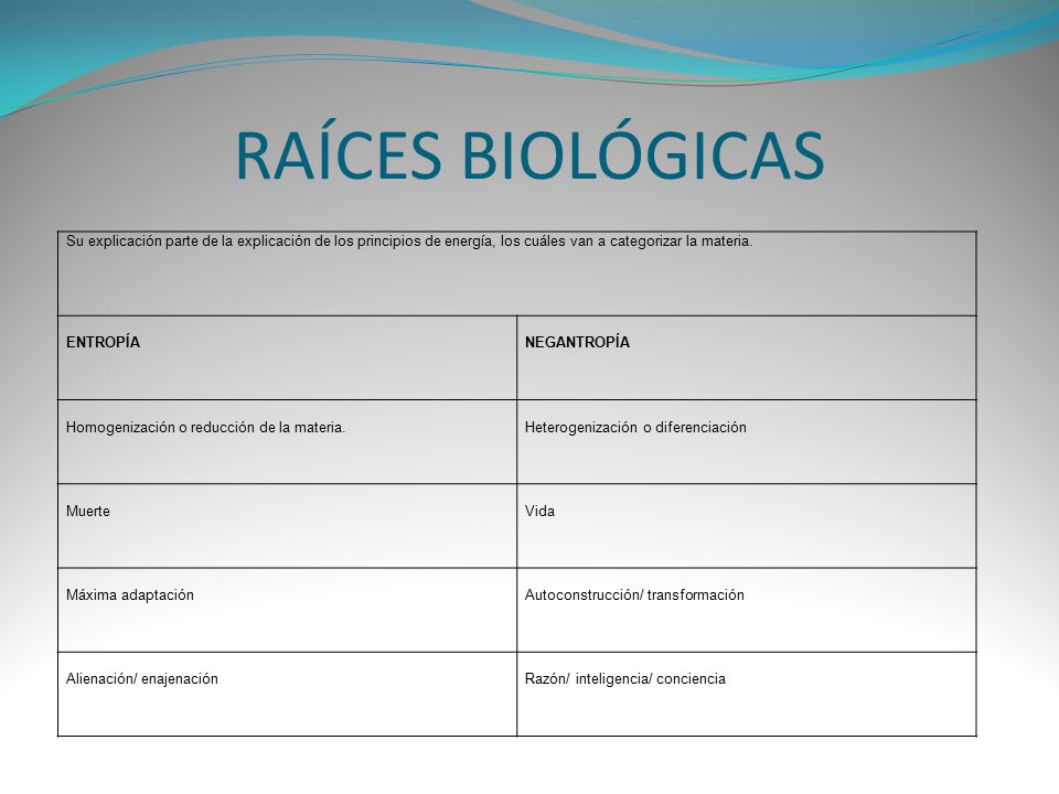 RAÍCES BIOLÓGICAS Su explicación parte de la explicación de los principios de energía, los cuáles van a categorizar la materia.