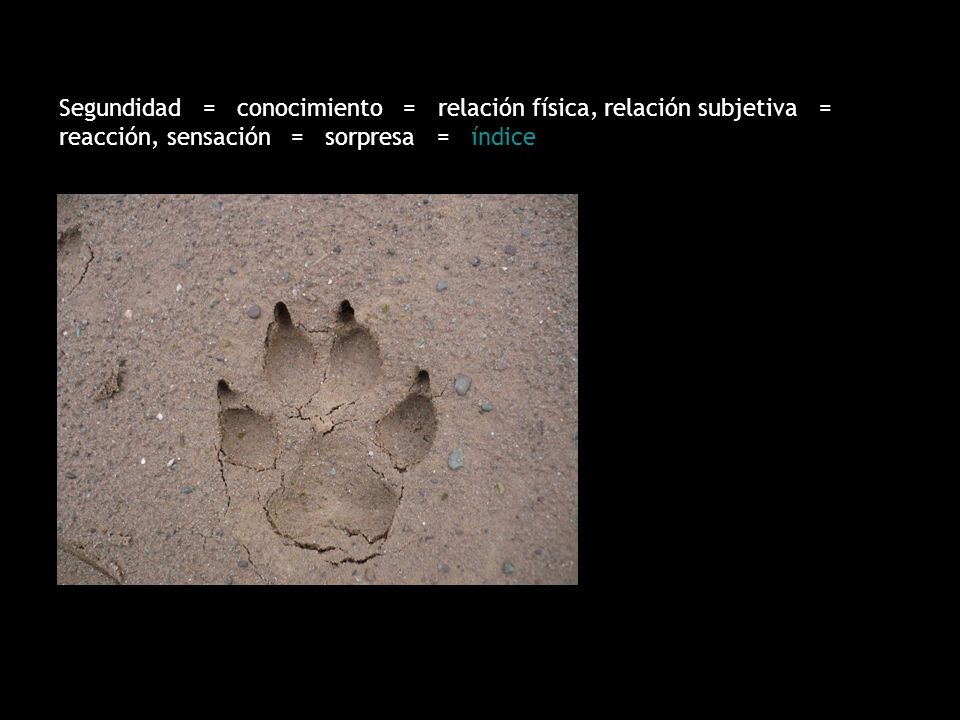 Segundidad = conocimiento = relación física, relación subjetiva = reacción, sensación = sorpresa = índice