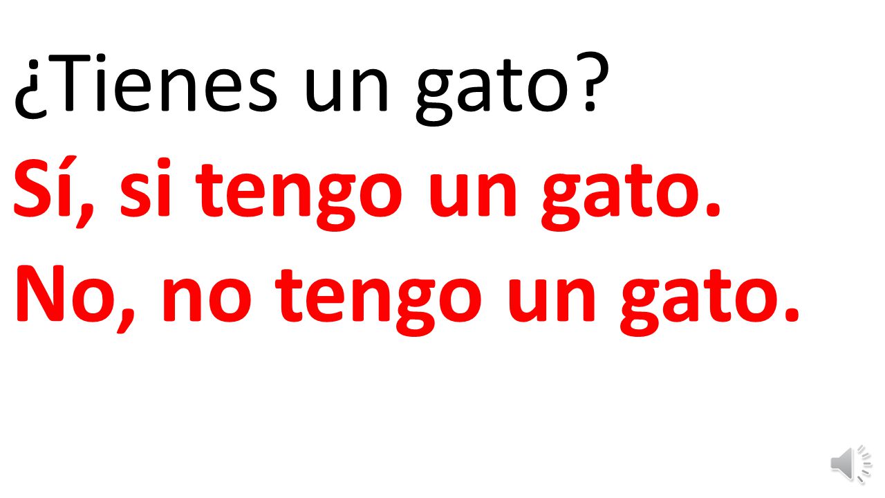 ¿Tienes un gato Sí, si tengo un gato. No, no tengo un gato.
