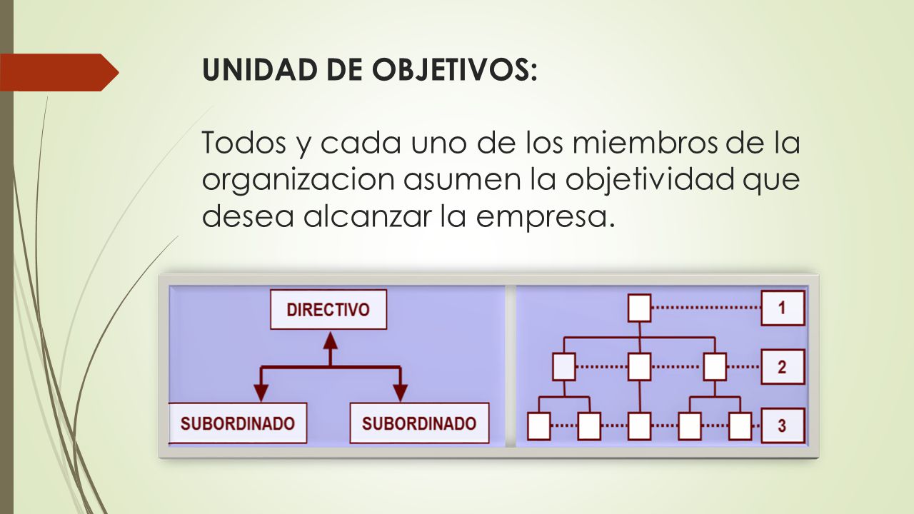 UNIDAD DE OBJETIVOS: Todos y cada uno de los miembros de la organizacion asumen la objetividad que desea alcanzar la empresa.