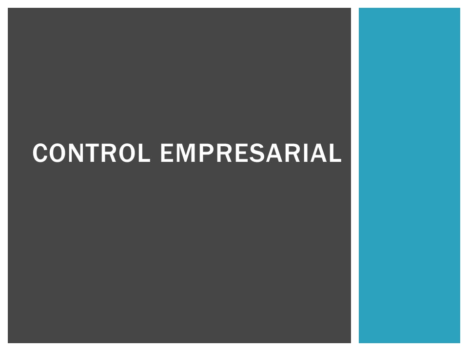Control Empresarial