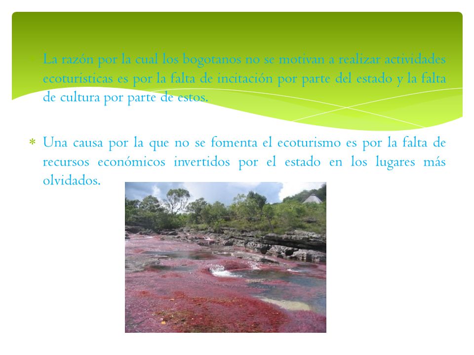 La razón por la cual los bogotanos no se motivan a realizar actividades ecoturisticas es por la falta de incitación por parte del estado y la falta de cultura por parte de estos.