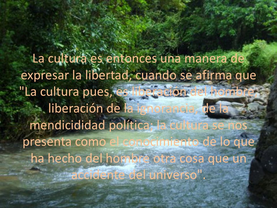 La cultura es entonces una manera de expresar la libertad, cuando se afirma que La cultura pues, es liberación del hombre, liberación de la ignorancia, de la mendicididad política; la cultura se nos presenta como el conocimiento de lo que ha hecho del hombre otra cosa que un accidente del universo .