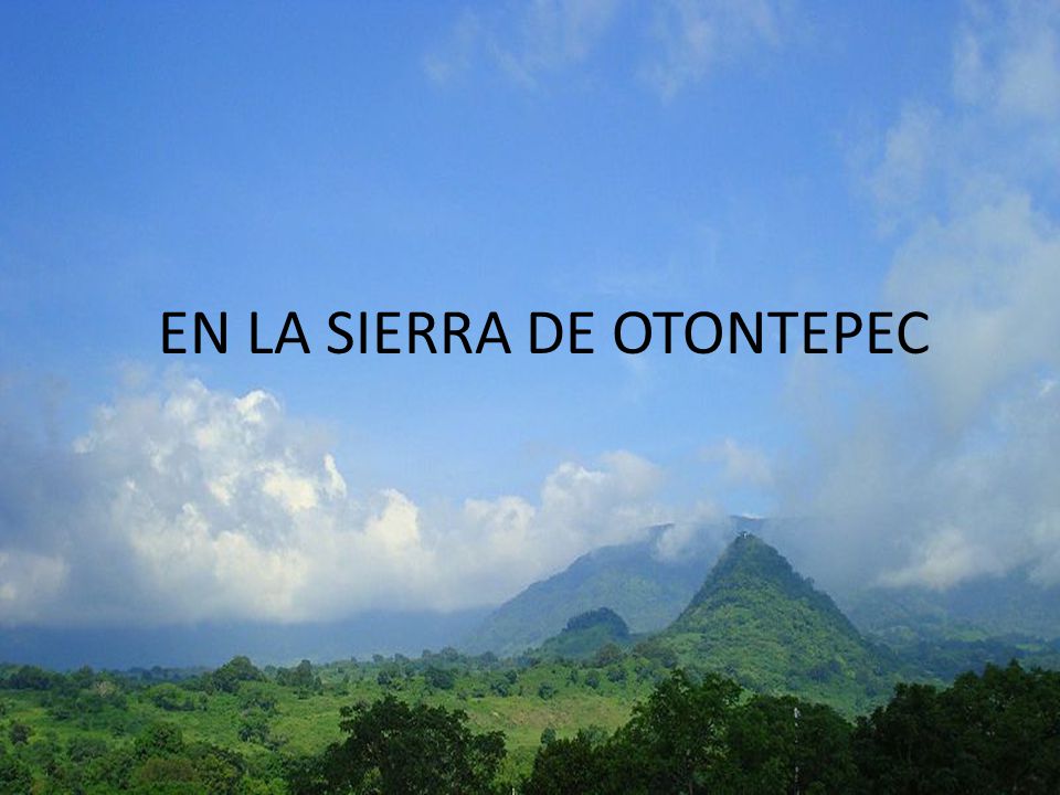 EN LA SIERRA DE OTONTEPEC