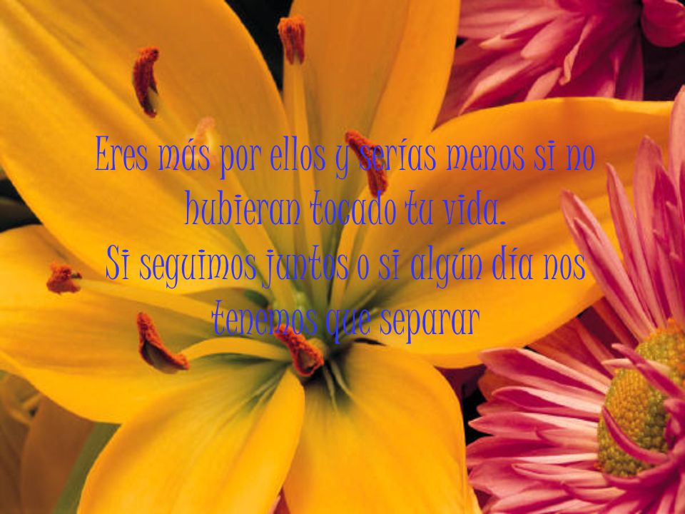 Eres más por ellos y serías menos si no hubieran tocado tu vida.