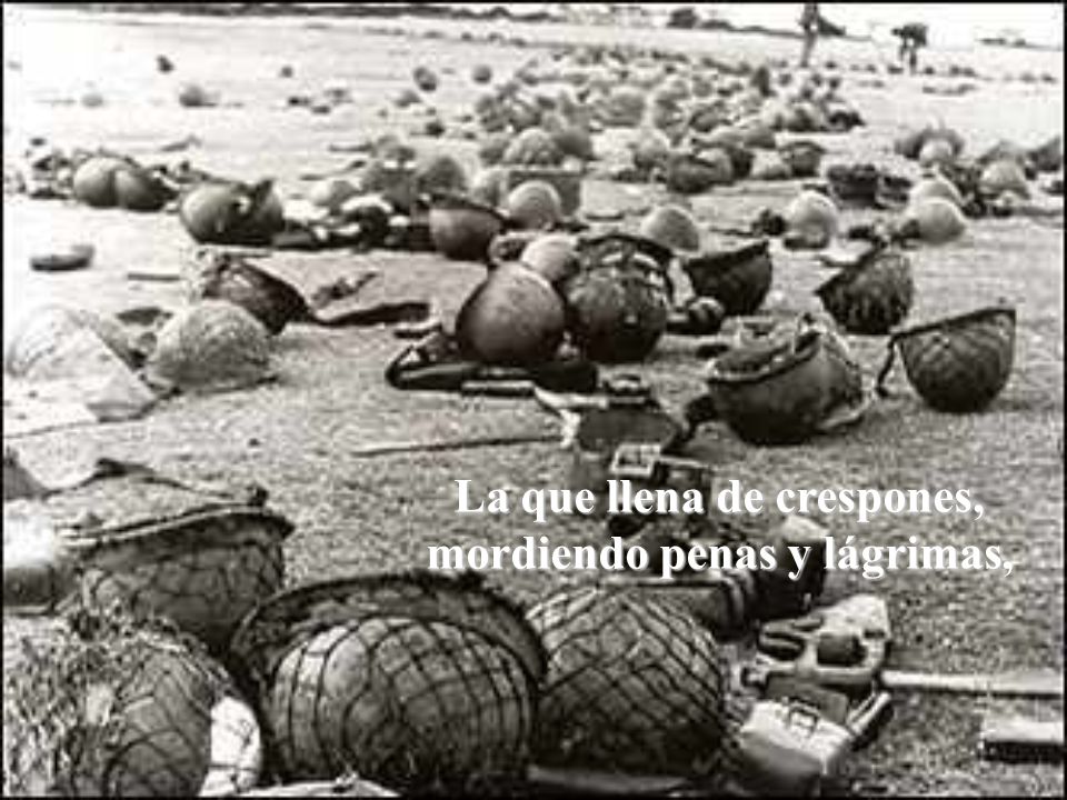 La que llena de crespones, mordiendo penas y lágrimas,