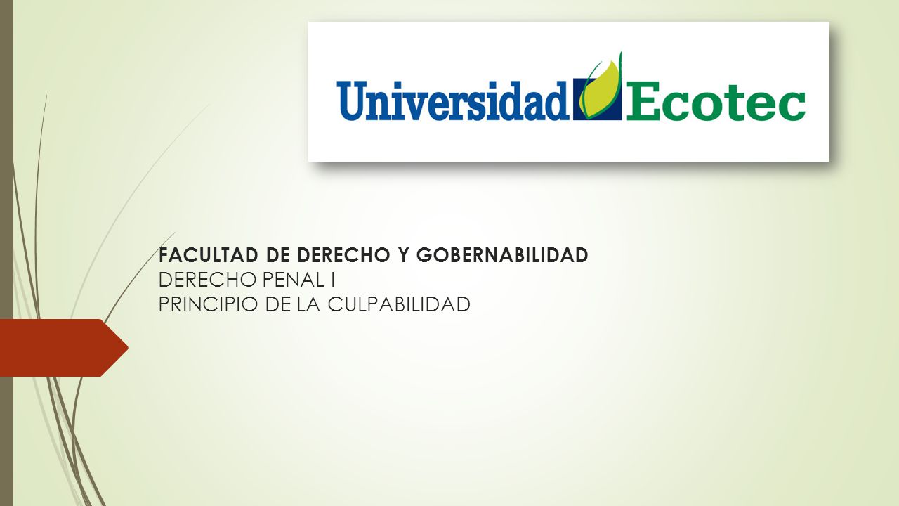 FACULTAD DE DERECHO Y GOBERNABILIDAD DERECHO PENAL I PRINCIPIO DE LA CULPABILIDAD