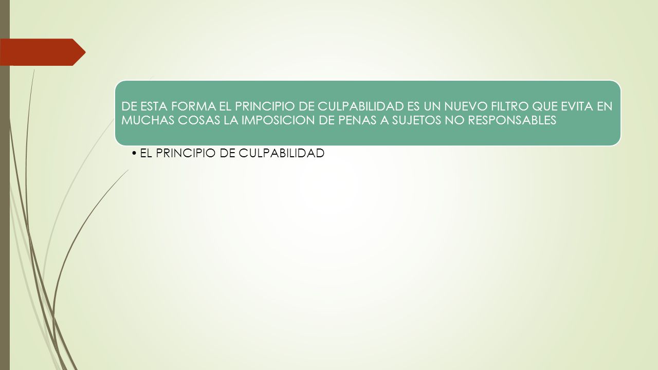 DE ESTA FORMA EL PRINCIPIO DE CULPABILIDAD ES UN NUEVO FILTRO QUE EVITA EN MUCHAS COSAS LA IMPOSICION DE PENAS A SUJETOS NO RESPONSABLES