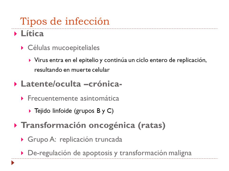 Tipos de infección Lítica Latente/oculta –crónica-