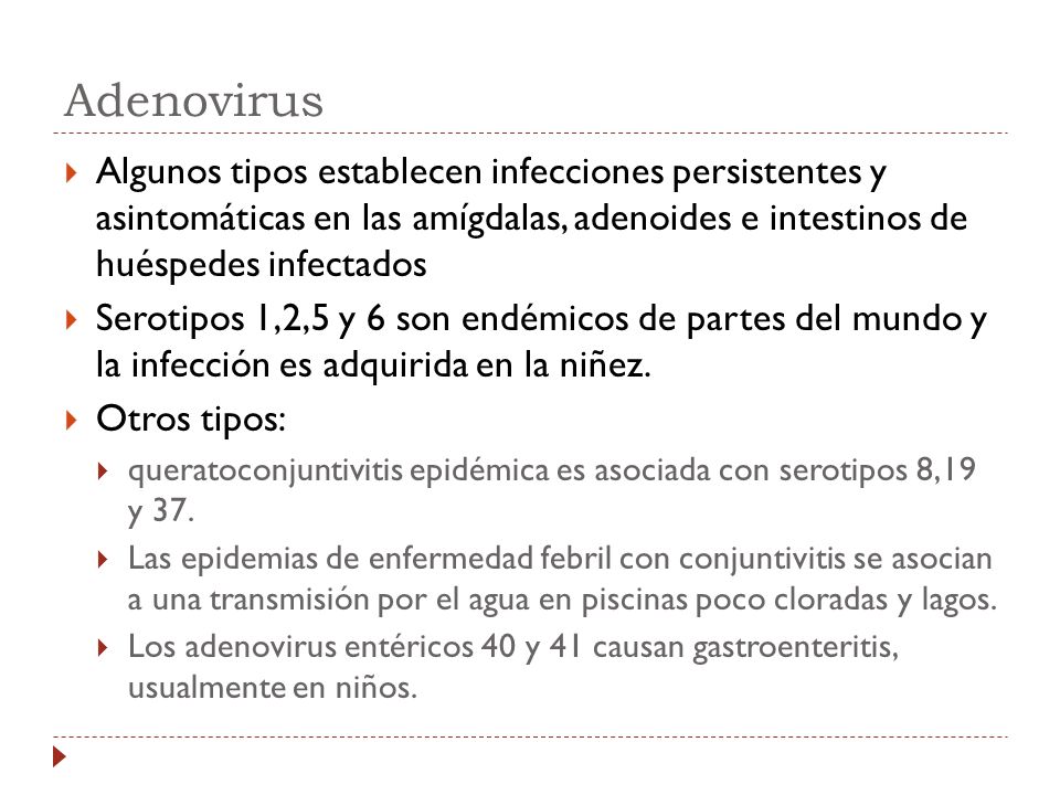 Adenovirus Algunos tipos establecen infecciones persistentes y asintomáticas en las amígdalas, adenoides e intestinos de huéspedes infectados.