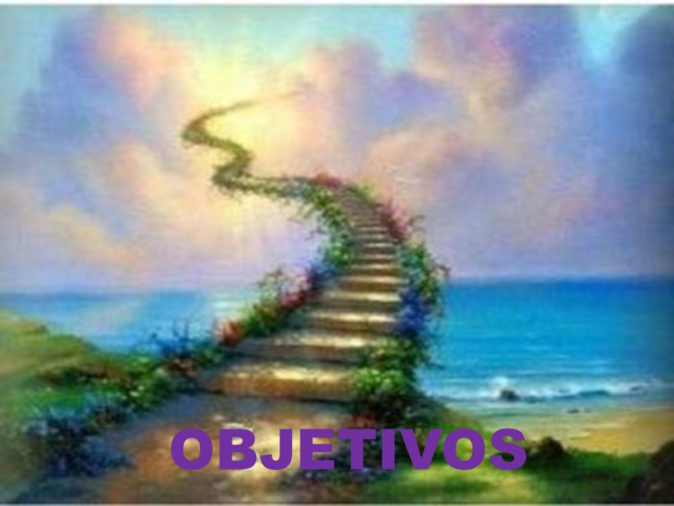 OBJETIVOS