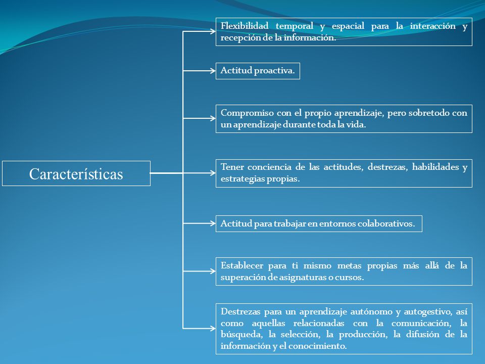 Flexibilidad temporal y espacial para la interacción y recepción de la información.