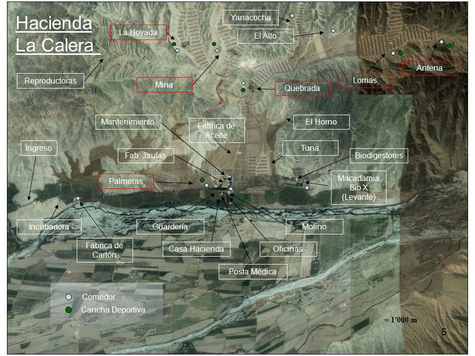 Hacienda La Calera Yanacocha La Hoyada El Alto Antena Reproductoras