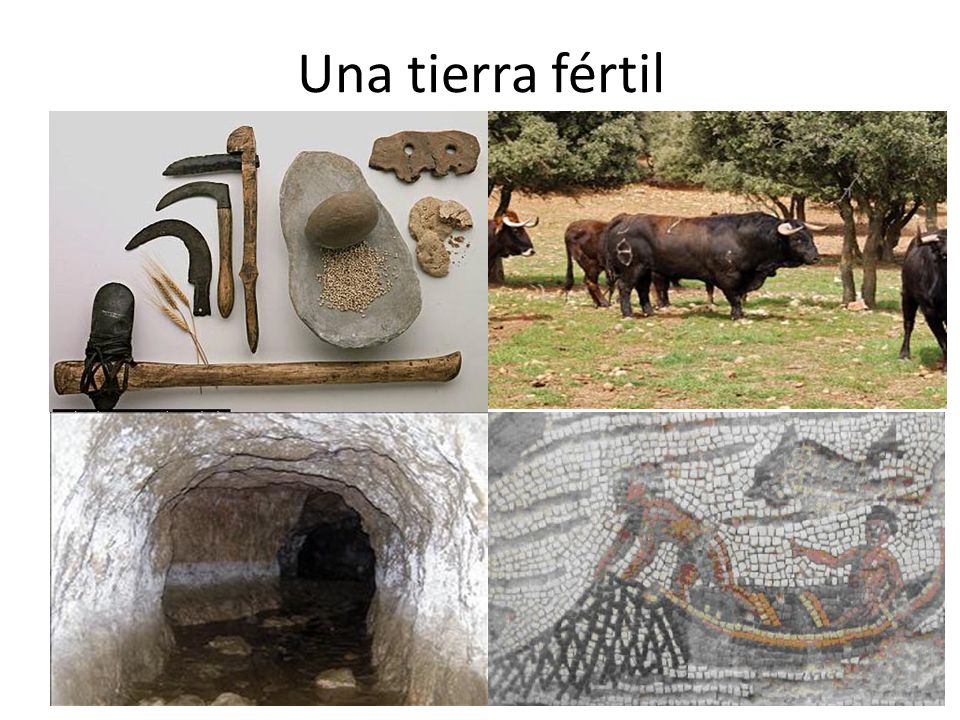 Una tierra fértil