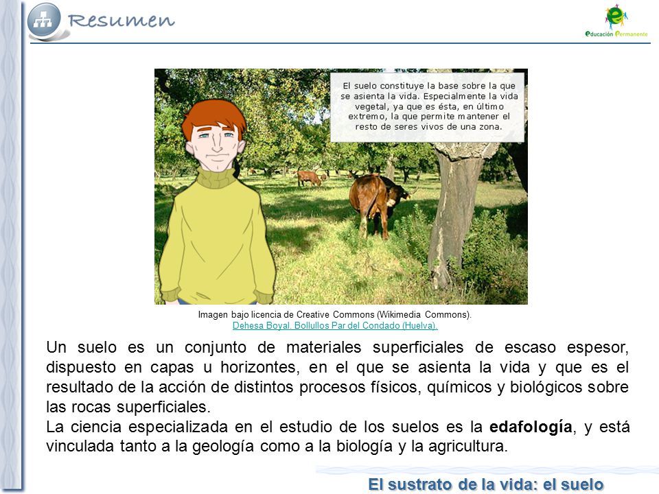 Imagen bajo licencia de Creative Commons (Wikimedia Commons).