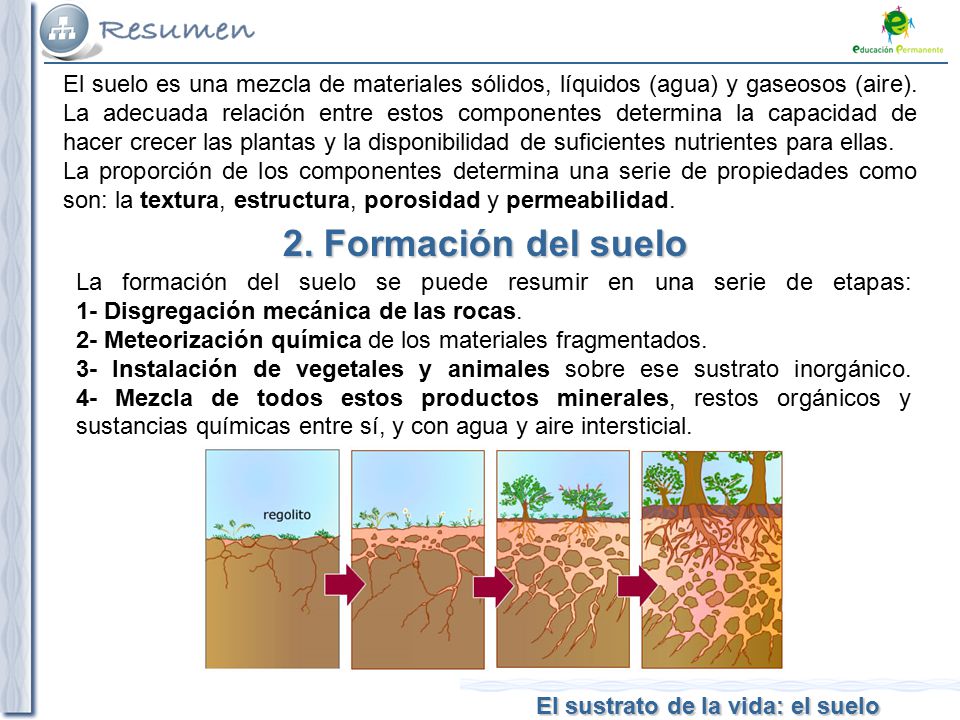 El suelo es una mezcla de materiales sólidos, líquidos (agua) y gaseosos (aire). La adecuada relación entre estos componentes determina la capacidad de hacer crecer las plantas y la disponibilidad de suficientes nutrientes para ellas.