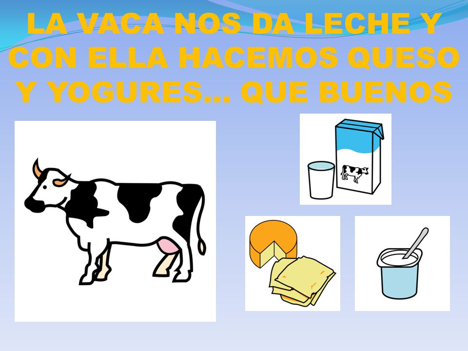 LA VACA NOS DA LECHE Y CON ELLA HACEMOS QUESO Y YOGURES… QUE BUENOS