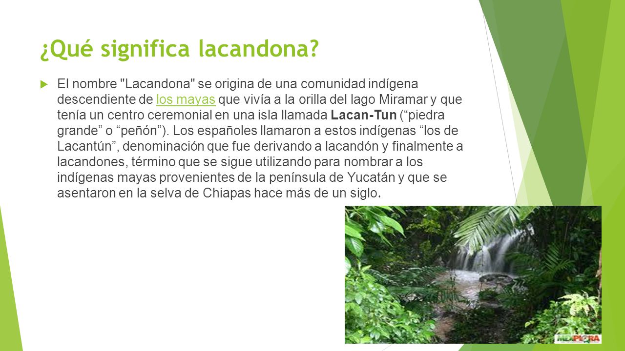¿Qué significa lacandona