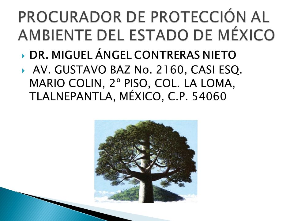 PROCURADOR DE PROTECCIÓN AL AMBIENTE DEL ESTADO DE MÉXICO