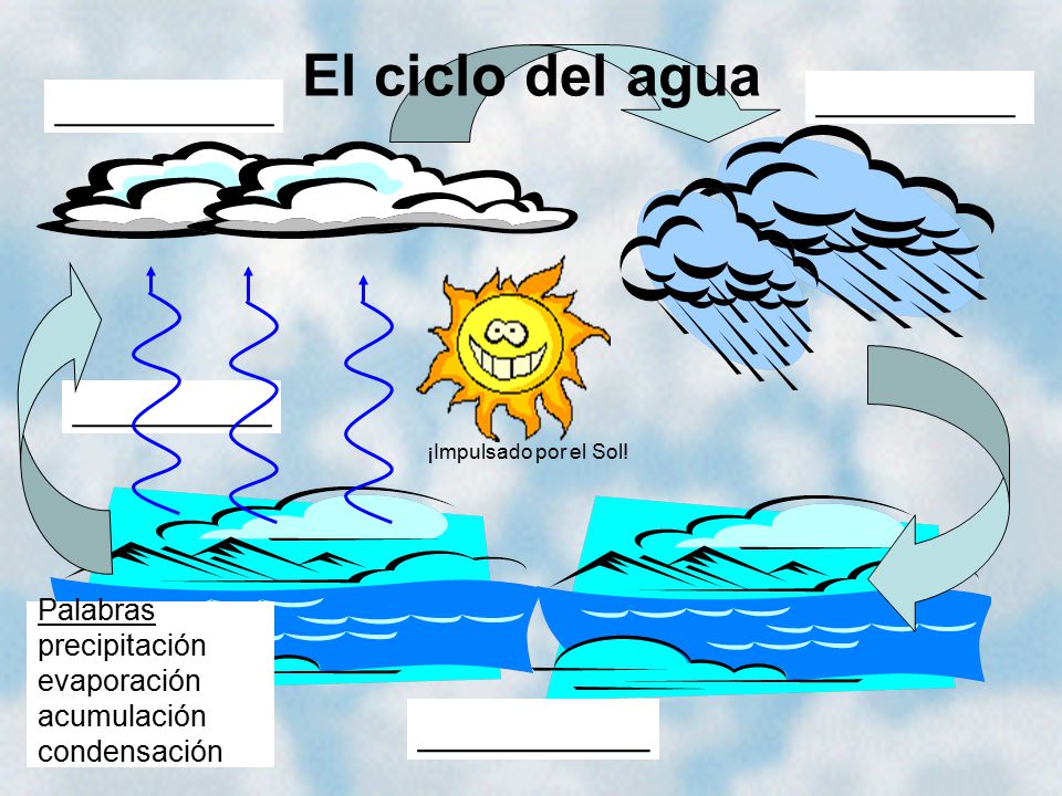 El ciclo del agua __________ __________ ___________ __________