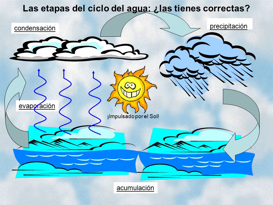 Las etapas del ciclo del agua: ¿las tienes correctas