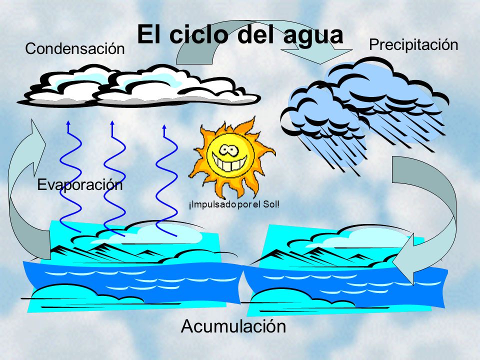 El ciclo del agua Acumulación Precipitación Condensación Evaporación