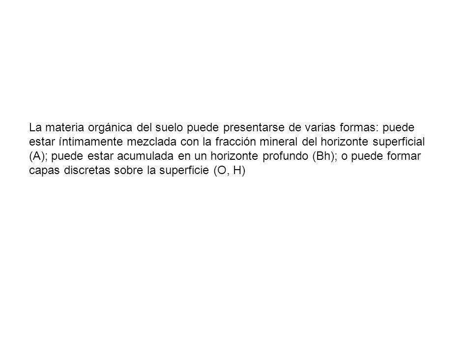 La materia orgánica del suelo puede presentarse de varias formas: puede estar íntimamente mezclada con la fracción mineral del horizonte superficial (A); puede estar acumulada en un horizonte profundo (Bh); o puede formar capas discretas sobre la superficie (O, H)