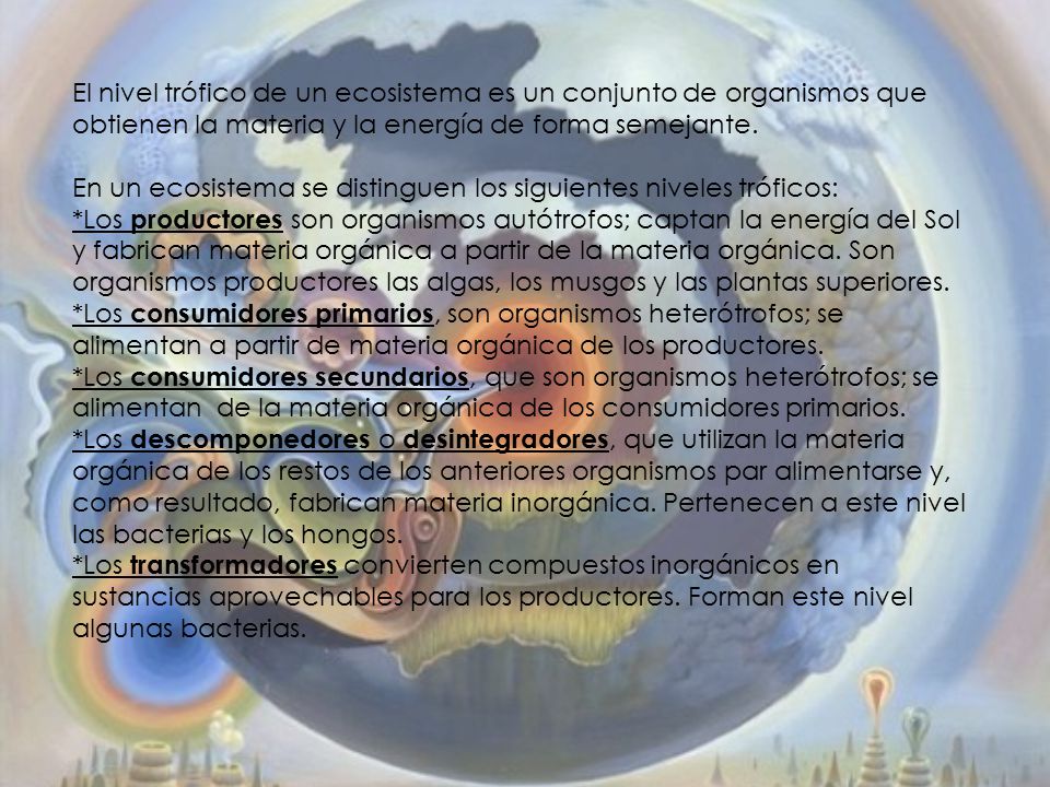 El nivel trófico de un ecosistema es un conjunto de organismos que obtienen la materia y la energía de forma semejante.