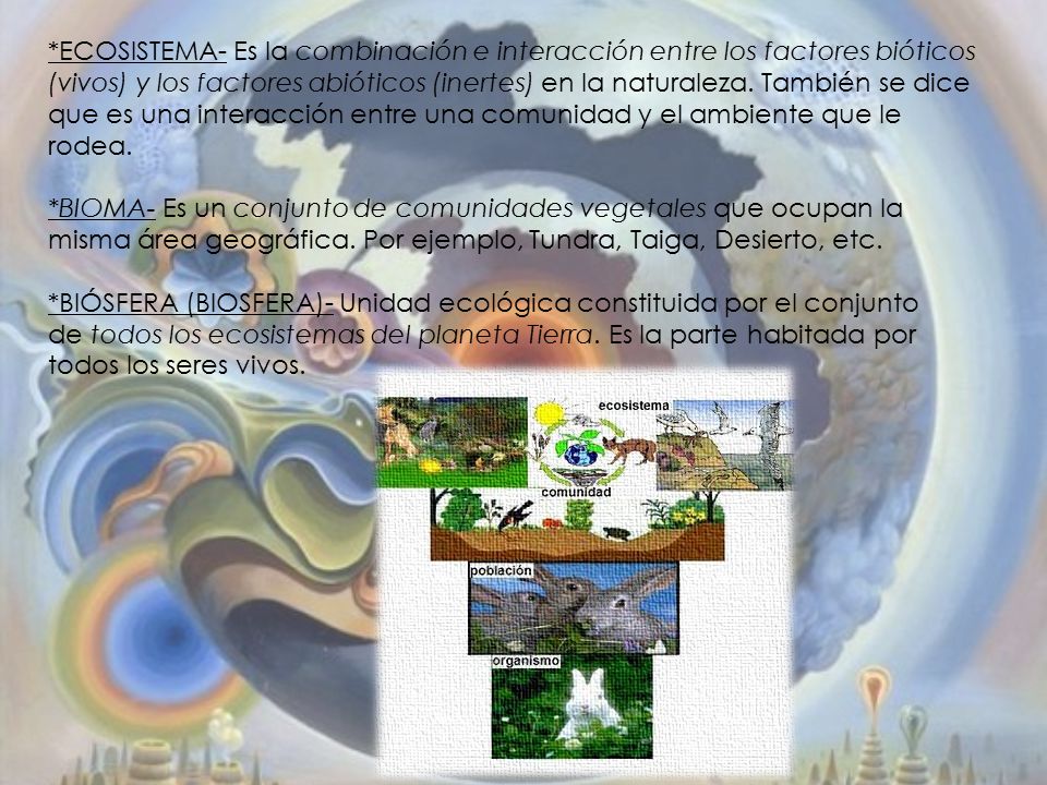 *ECOSISTEMA- Es la combinación e interacción entre los factores bióticos (vivos) y los factores abióticos (inertes) en la naturaleza. También se dice que es una interacción entre una comunidad y el ambiente que le rodea.
