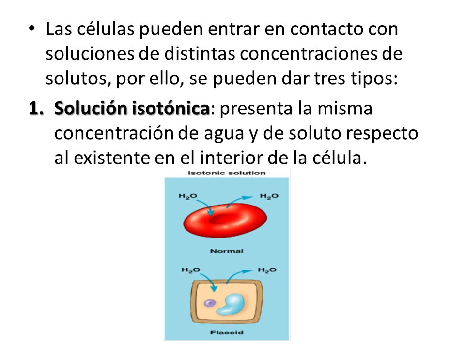 Las células pueden entrar en contacto con soluciones de distintas concentraciones de solutos, por ello, se pueden dar tres tipos: