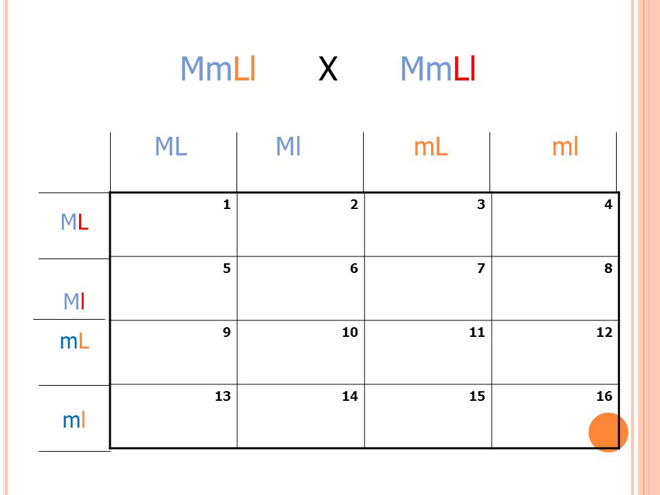 MmLl X MmLl ML Ml mL ml ML Ml mL ml