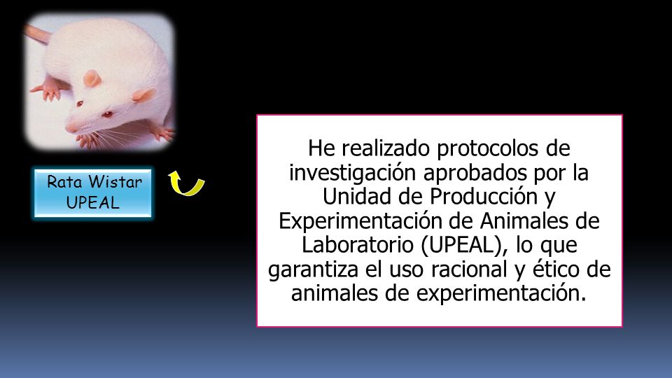 He realizado protocolos de investigación aprobados por la Unidad de Producción y Experimentación de Animales de Laboratorio (UPEAL), lo que garantiza el uso racional y ético de animales de experimentación.