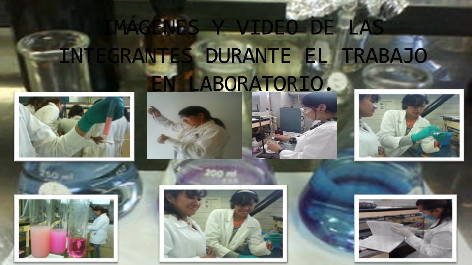 IMÁGENES Y VIDEO DE LAS INTEGRANTES DURANTE EL TRABAJO EN LABORATORIO.