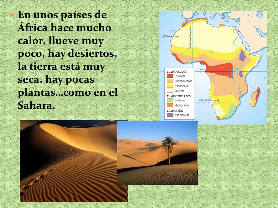 En unos países de África hace mucho calor, llueve muy poco, hay desiertos, la tierra está muy seca, hay pocas plantas…como en el Sahara.
