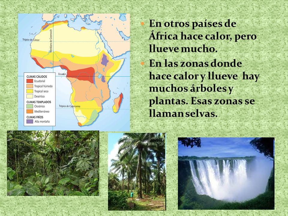 En otros países de África hace calor, pero llueve mucho.