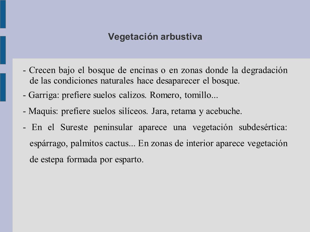 Vegetación arbustiva - Crecen bajo el bosque de encinas o en zonas donde la degradación de las condiciones naturales hace desaparecer el bosque.