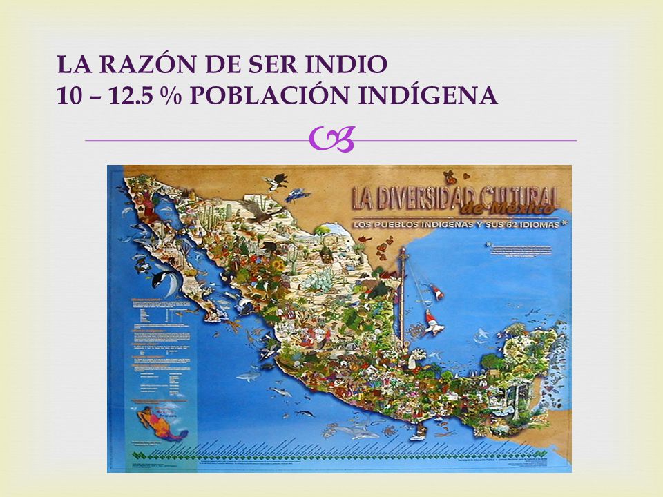 LA RAZÓN DE SER INDIO 10 – 12.5 % POBLACIÓN INDÍGENA