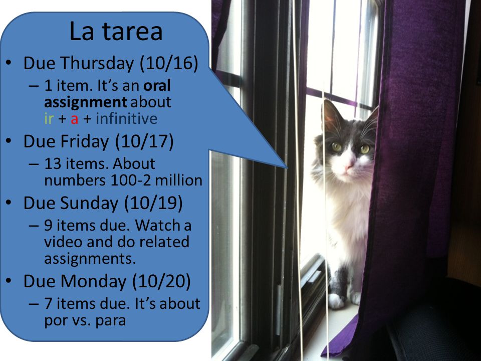La tarea Due Thursday (10/16) Due Friday (10/17) Due Sunday (10/19)