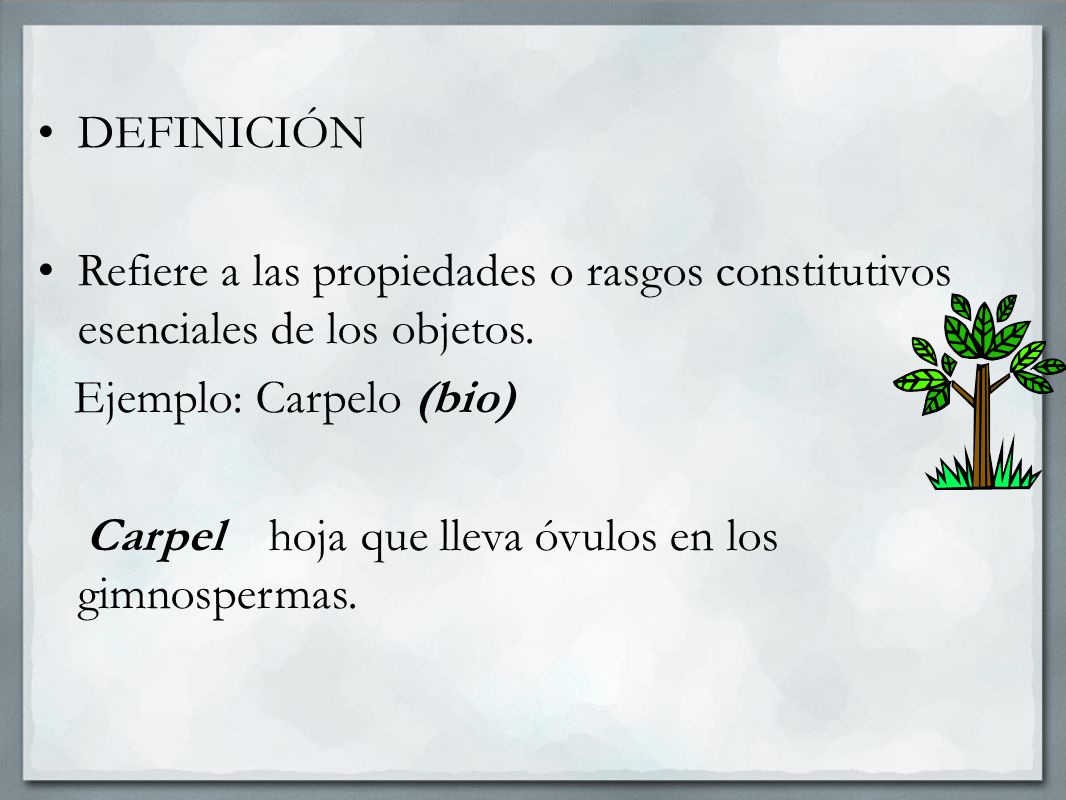 DEFINICIÓN Refiere a las propiedades o rasgos constitutivos esenciales de los objetos. Ejemplo: Carpelo (bio)