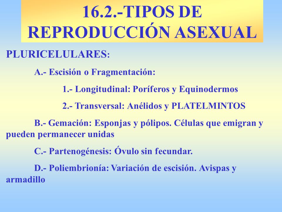 16.2.-TIPOS DE REPRODUCCIÓN ASEXUAL