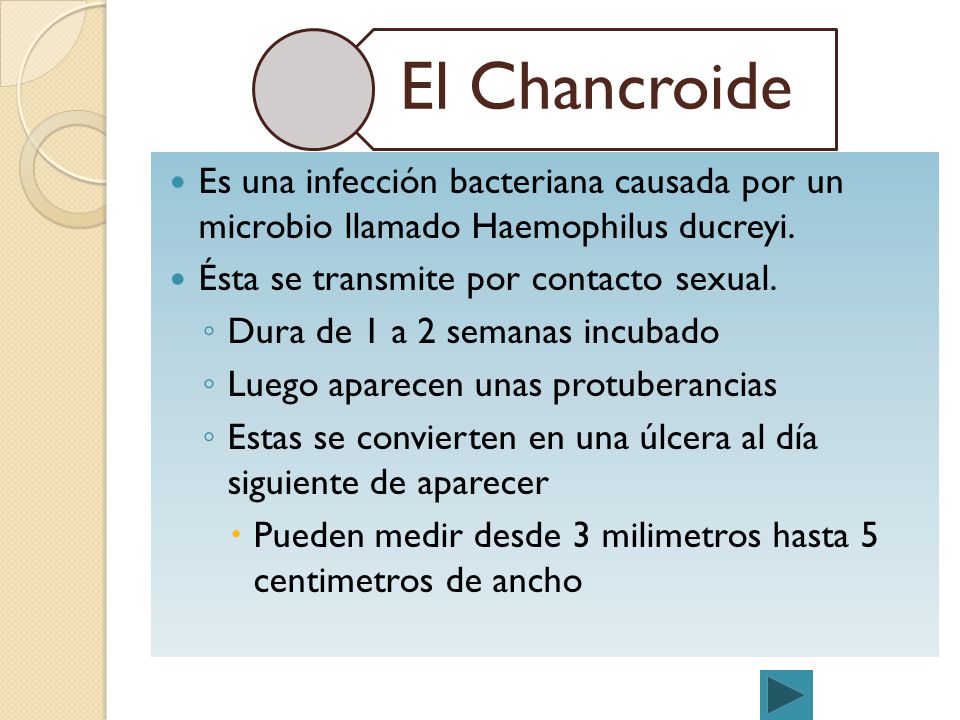 El Chancroide Es una infección bacteriana causada por un microbio llamado Haemophilus ducreyi. Ésta se transmite por contacto sexual.