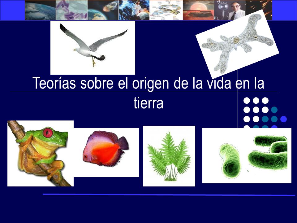 Teorías sobre el origen de la vida en la tierra