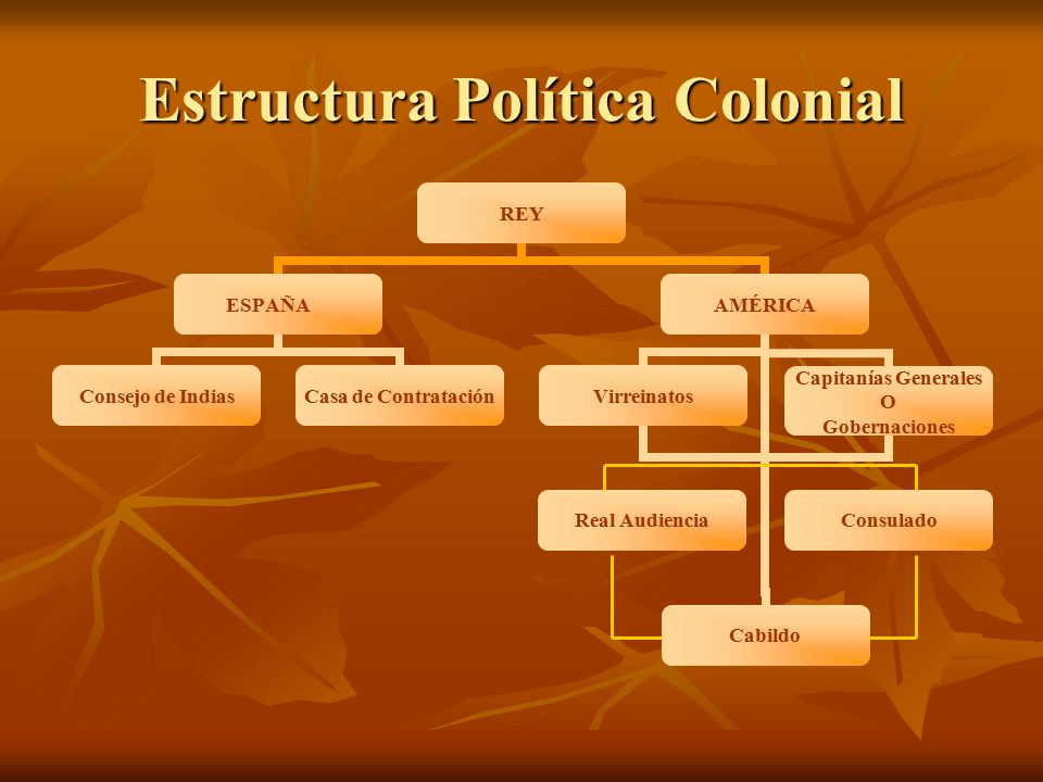 Estructura Política Colonial