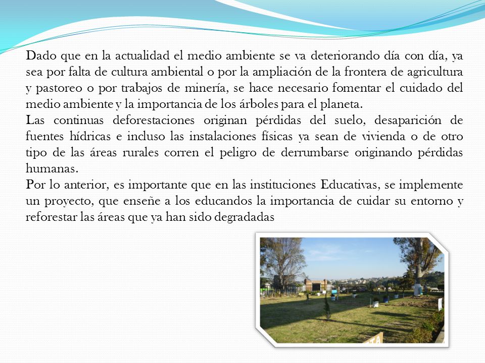 Dado que en la actualidad el medio ambiente se va deteriorando día con día, ya sea por falta de cultura ambiental o por la ampliación de la frontera de agricultura y pastoreo o por trabajos de minería, se hace necesario fomentar el cuidado del medio ambiente y la importancia de los árboles para el planeta.